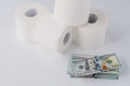 Increased price for toilet paper because of coronavirus pandemic. Panic, virus and purchasing. Rolls of toilet paper and dollar