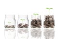 Increasing growth coins money inside transparent piggy saving jar with plant ,investment profit and dividend money saving concept