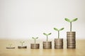 Increasing growth coins stacking with plant , investment profit and dividend money from saving concept Royalty Free Stock Photo