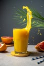 Increasing vitamins and minerals in diet. Glass of fresh tropical juice with splashes and fresh fruits. Royalty Free Stock Photo