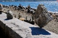 Incredibl rock balancing, Vancouver, Canada Royalty Free Stock Photo