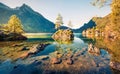 Incredible autumn scene of Hintersee lake. Sunny morning view of Bavarian Alps on the Austrian border, Germany, Europe. Beauty of