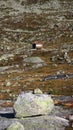 Small wooden house in the mountains among the stones inNorway