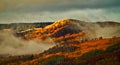 Incredible Fall Foliage of Colorado