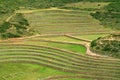 Incredible Inca Agricultural Terraces Ruins of Moray, Located in the Remote Countryside of Cusco Region, Peru