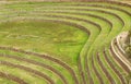 Incredible Inca Agricultural Terraces Ruins of Moray, Located in the Remote Countryside of Cusco Region, Peru