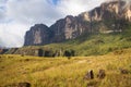 Mount Roraima with waterfalls Royalty Free Stock Photo