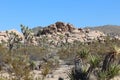 Incredible landscape photo of Joshua Tree National park