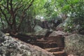 Walking up the Pidurangala Rock. Beautiful Stairway leading through a forest.