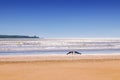 Incredible Morocco, amazing Essaouira, a wonderful beach with people doing sports