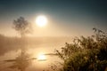 Incredible mystical morning landscape with rising sun, tree, reed and fog over the water.