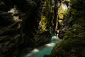 The incredible nature and beauty of pure wild river hidden deep in forest and rocks.