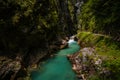 The incredible nature and beauty of pure wild river hidden deep in forest and rocks.