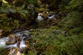 The incredible nature and beauty of pure wild river hidden deep in forest and rocks.