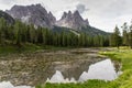 Incredible nature landscape in Dolomites Alps. Spring blooming meadow. Flowers in the mountains. Spring fresh flowers.Mountains Royalty Free Stock Photo