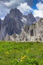 Incredible nature landscape in Dolomites Alps. Spring blooming meadow. Flowers in the mountains. Spring fresh flowers.Nature Royalty Free Stock Photo