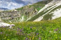 Incredible nature landscape in Dolomites Alps. Spring blooming meadow. Flowers in the mountains. Spring fresh flowers.Colorful Royalty Free Stock Photo