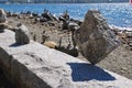 Incredible rock balancing, Vancouver, Canada Royalty Free Stock Photo