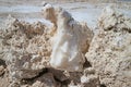 Incredible Salt Crust on the Surface of Salar de Atacama Salt Flat, the Largest Chilean Salt Flat in Northern Chile Royalty Free Stock Photo