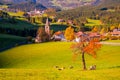 Incredible scenic view of red lonely tree in alp valley with traditional Tyrol villages on background