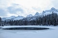 Incredible snowy views from Island Lake in Fernie, British Columbia, Canada. The majestic winter background is beauty. Royalty Free Stock Photo