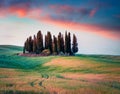 Incredible spring sunrise with small cypress forest among the field of wheat. Berautiful morning scene of Tuscany, Italy, Europe.