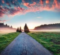 Incredible summer sunrise in Durmitor Nacionalni Park. Dramatic foggy scene of Montenegro countryside, Zabljak town location. Beau