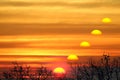 incredible sunset sky and silhouette tree and birds flying Royalty Free Stock Photo