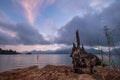 Incredible view of Cheow Lan lake with sunset sky and evidence of the preexisting jungle forest which was flooded when Rajjaprabha Royalty Free Stock Photo