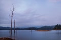 Incredible view of Cheow Lan lake with sunset sky and evidence of the preexisting jungle forest which was flooded when Rajjaprabha Royalty Free Stock Photo