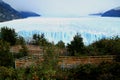 Incredible view of Perito Moreno Glacier with the viewing balcony among green foliage in Los Glaciares National Park, Patagonia