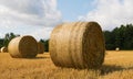 Incredible view of a round bale of straw in the meadow Royalty Free Stock Photo