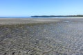 An incredible view of the sandy beaches of nels bight and experimental bight, surrounded by forest and the pacific ocean Royalty Free Stock Photo