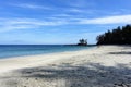 An incredible view of the sandy beaches of nels bight and experimental bight, surrounded by forest and the pacific ocean Royalty Free Stock Photo