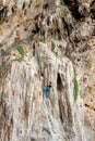 Incredible wall and young woman climbing.