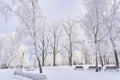 An incredible winter park during a heavy snowfall. Perfect weather for a walk in the park