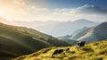 Incredibly beautiful pastures Plains and mountains Royalty Free Stock Photo