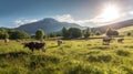 Incredibly beautiful pastures Plains and mountains Royalty Free Stock Photo