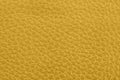 Saffron background with leather texture. Top view.