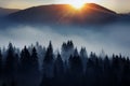 Incredibly beautiful sunrise in the mountains. Coniferous trees in the fog and the rays of the sun through the foggy forest.