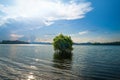 View of the lake in the evening and a tree above the lake,nature.Blue Sky,.Natural Background.Artistic Wallpaper,Nature thailand Royalty Free Stock Photo