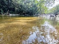 the incredibly clear waters of a tropical forest river Royalty Free Stock Photo