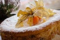 Incredibly Delicious Home Baked Cake. The Top Is Decorated With Edible Physalis Fruits