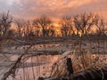 An incredibly orange sunset over a full spread of goose decoys with the tip of a shotgun barrel and hunting blind in the Royalty Free Stock Photo