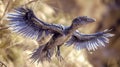 An incredibly rare fossil of a Microraptor with preserved feathers providing a glimpse into the evolution of flight in