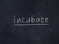 Incubate Royalty Free Stock Photo