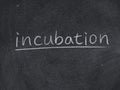 Incubation