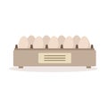 Incubator egg tray, poultry breeding vector Illustration