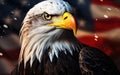 Independence Day Bald Eagle Head with American Flag Background Royalty Free Stock Photo