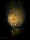 Independence Day fireworks in Washington, DC Royalty Free Stock Photo